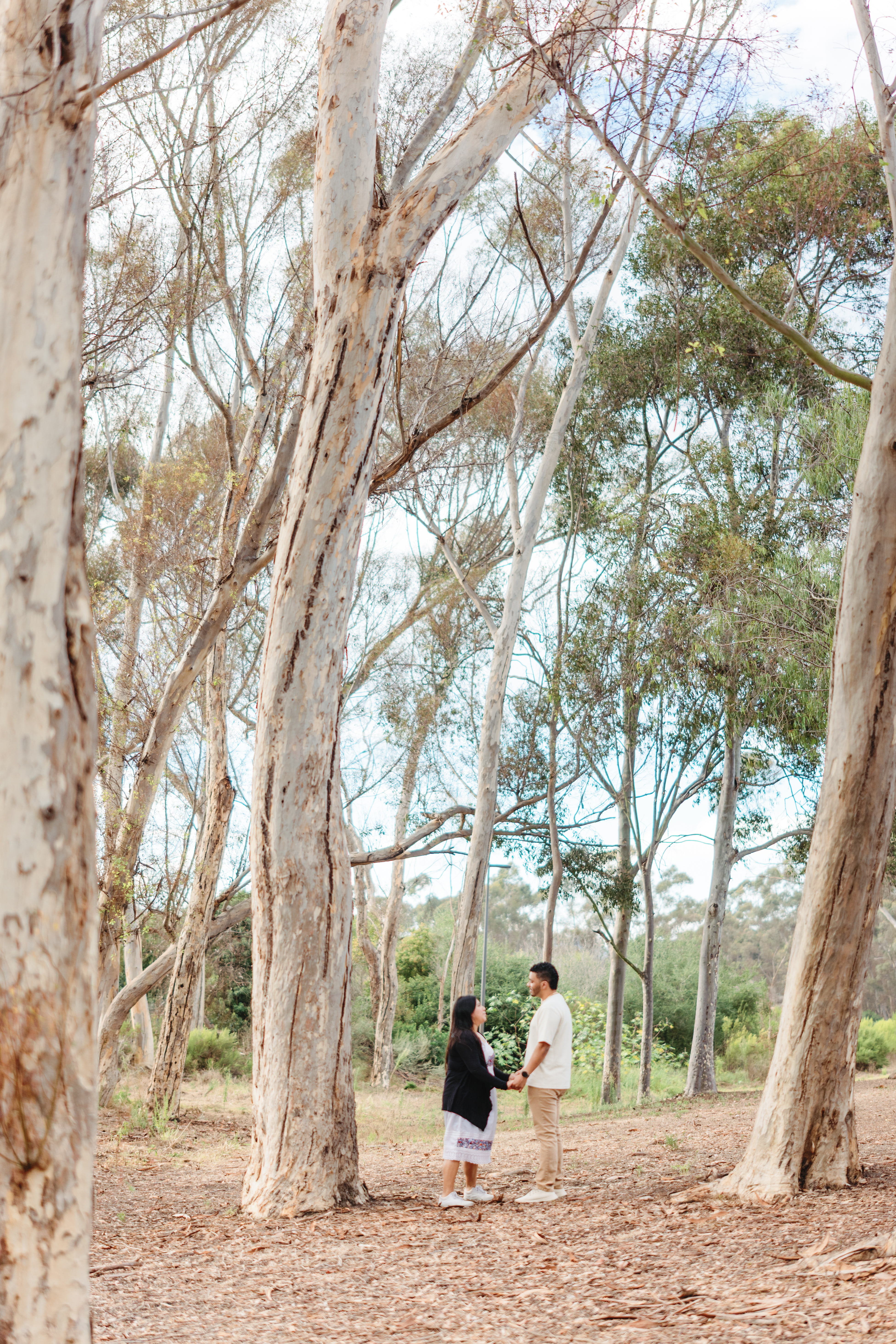 Couple walking hand in hand among eucalyptus trees